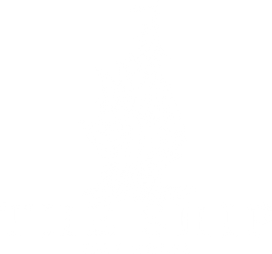The Ship